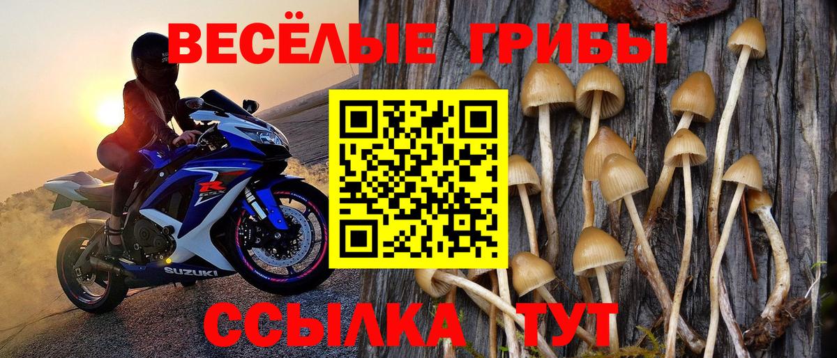 Галлюциногенные грибы GOLDEN TEACHER Салават